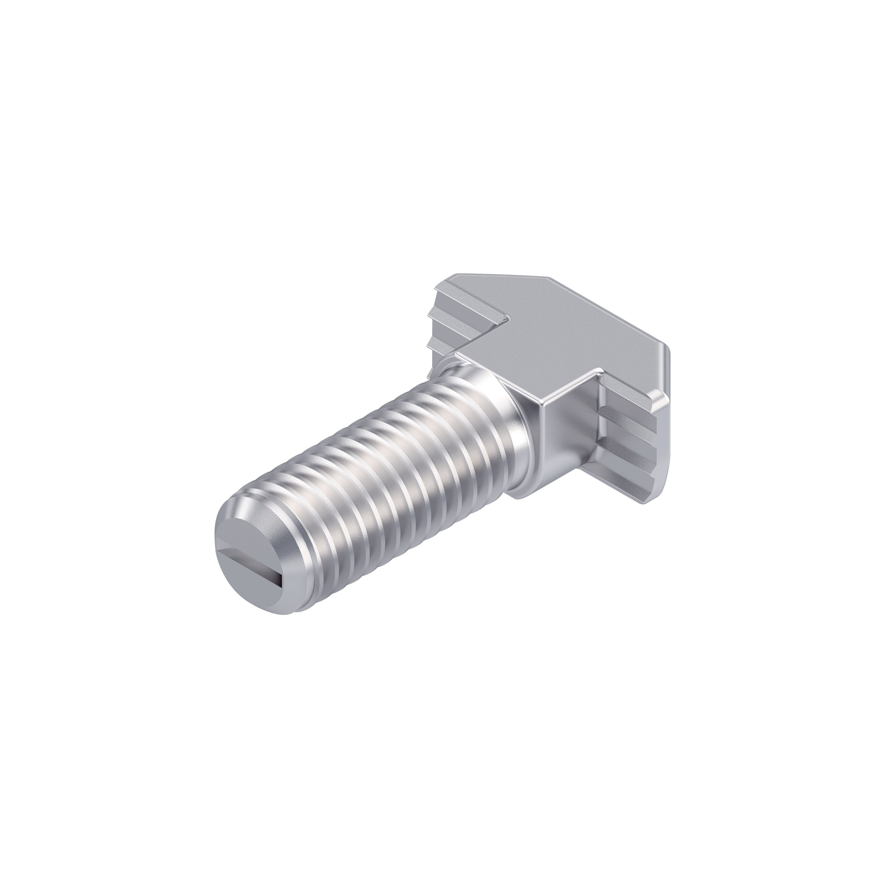 HS10-M8X25