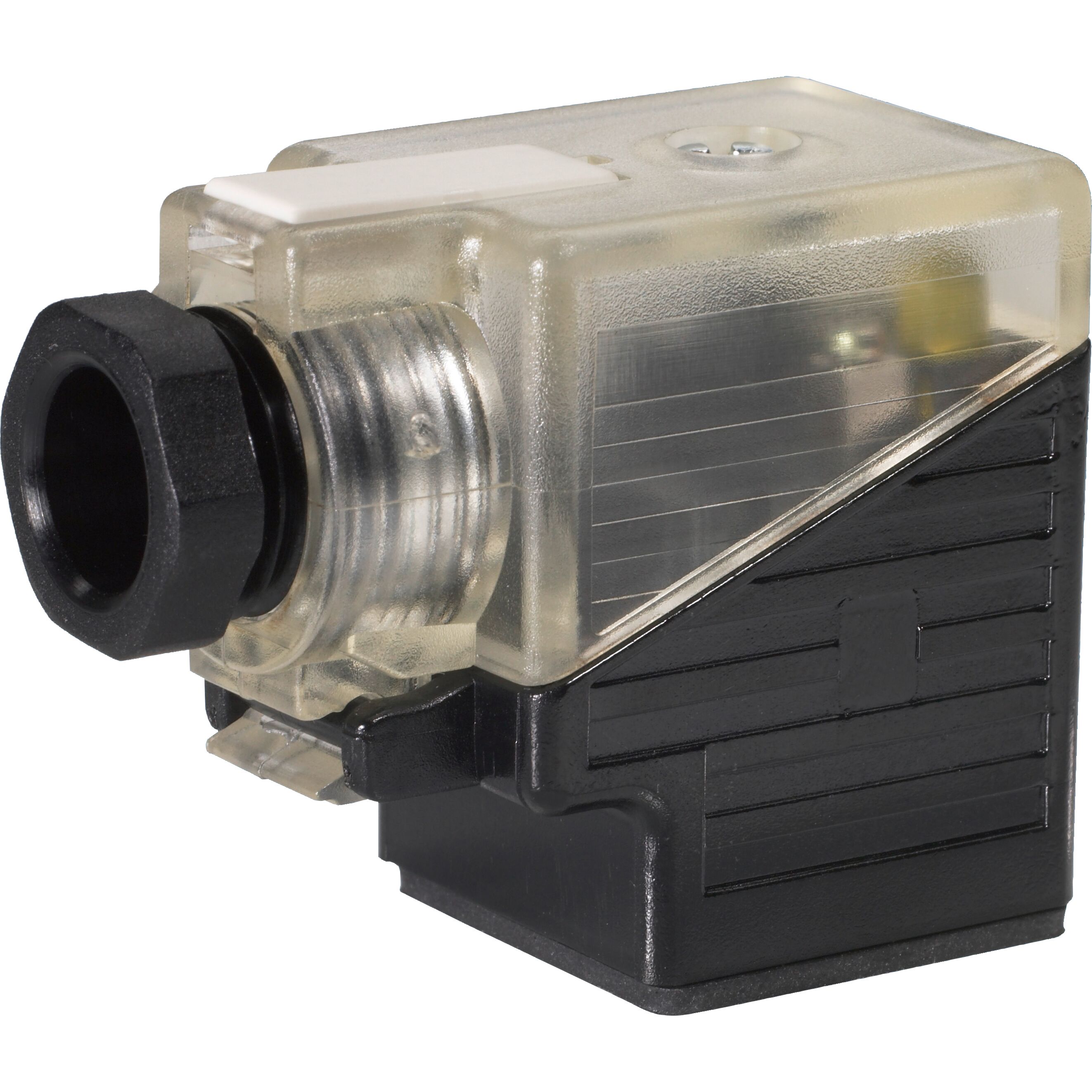 3P RZ55 24   SPEZ BG